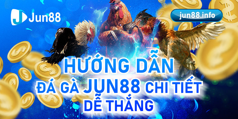 Hướng Dẫn Đá Gà Jun88 Chi Tiết Dễ Thắng