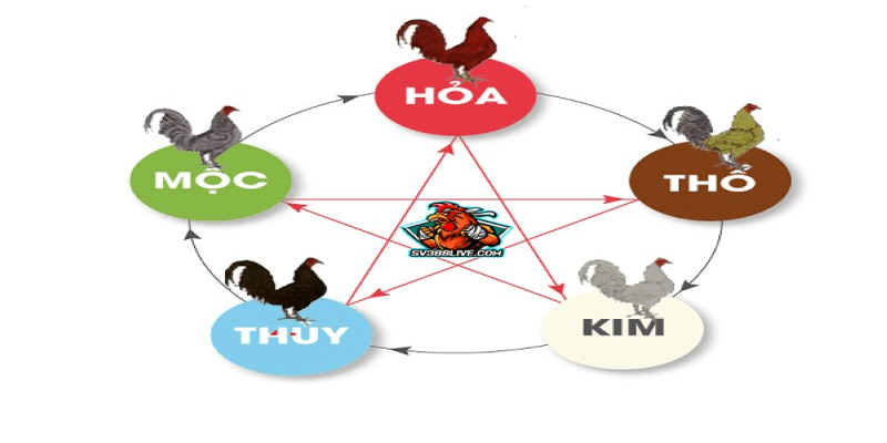 xem ngày đá gà chiến kê ra trận