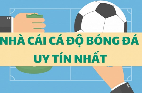 Cá độ bóng đá trang nào uy tín, chất lượng